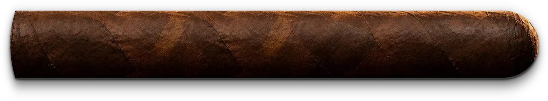 Corona Gorda cigar, 5⅝